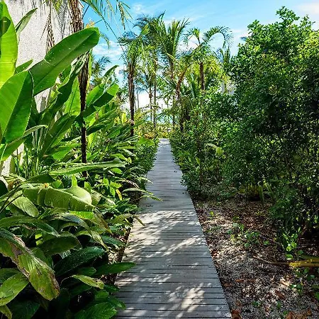 Fasano Trancoso-3